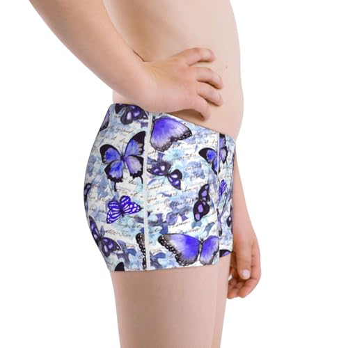 Boys' Cotton Boxer Brief Soft Underwear-Butterflies2