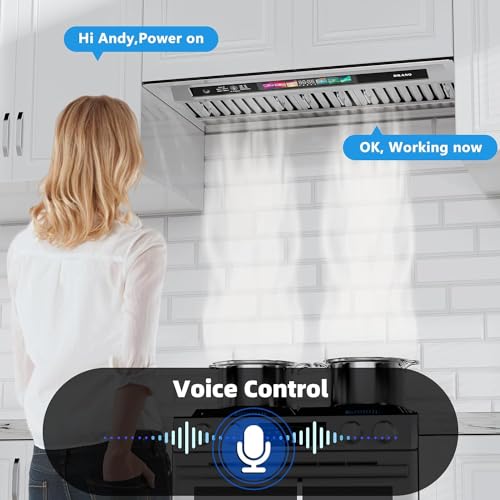 Image of BRANO Insert Range Hood, 900 CFM Built-in Kitchen Vent Hood with Voice, Gesture & Touch Control, 4-Speed Exhaust Fan, Memory Function, Adjustable LED Lights, Ducted /Ductless Convertible(30 Inch)