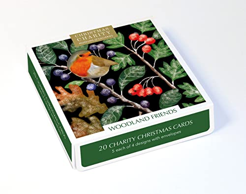 Museums & Galleries Charity Christmas Cards Pack of 20 - Assorted Designs - Woodland Animals - 4 x 5 Winter Wildlife Designs - Festive Christmas Cards Multipack - In Aid of UK Charities - Image 5