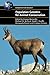Population Genetics for Animal Conservation (Conservation Biology, Series Number 17)