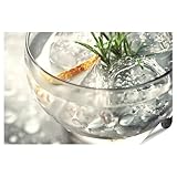 islandburner Póster XXL de cóctel refrescante con romero y limón para cocina gourmets, cócteles, imágenes premium, impresión fotográfica