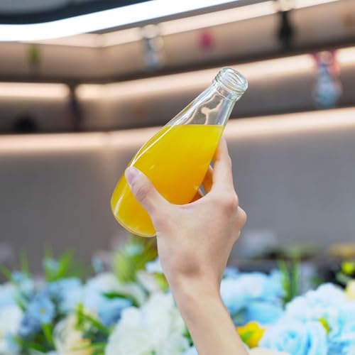Image of Glassbunny 250ml Transparent Glass Bottle with Stainless Steel Lid & Anti-Slip Bottom, Leak-Proof, Reusable for Home, Office, Gym & Travel (Pack of 6)