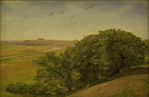 Tableaux Graffiti Art Mural Joakim Skovgaard : Poster Impression de Paysage Moderne 60x90cm
