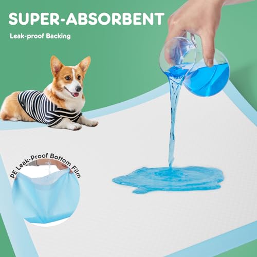 Aidoly Dog Puppy Pads, Pee Pads for Dogs Potty Training, Ultra-Absorbent 6-Layer Leak-Proof, Quick-Dry Surfac, Regular Size 22\"x22\" ,100 Count