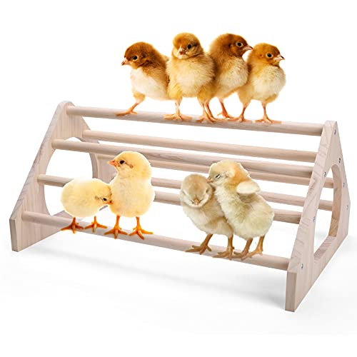Chicken Perch Chicken Toys For Coop Chicken Swing Chicken Wood Stand Chicken Toys For Chicken Supplies Strong Wooden Chicken Roost For Chicken Coop Accessories #TOP5