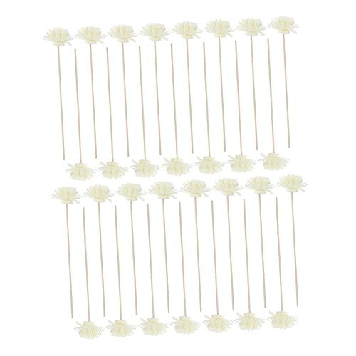 Healeved 60pcs Rattan Flower Diffuser Sticks for Simulated Flower Cane Perfume Accessories for Home Office and Spa Air Quality and Mood