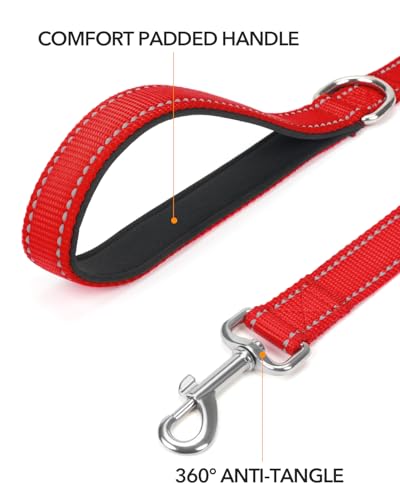 Taglory Hundeleine Kleine Hunde Leicht | Doppelseitig Reflektierend | Gepolsterter Griff | Bis zu 10 kg | 1.8m x 2cm | Rot