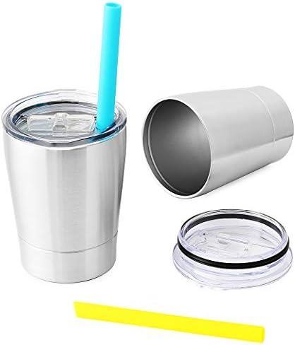 Small Cute Kids Cups 2 Pack, Stainless Steel Kid Tumbler with Lid and Straw, Double Wall Vacuum Insulated Toddler Sippy Cups, Children Smoothie Drinking Cup - Silver