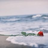Rose of the Sea