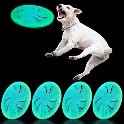 Sratte Hundespielzeug für mittelgroße und große Hunde, leuchtet im Dunkeln, weiches Gummi, leicht, 4 Stück Cover