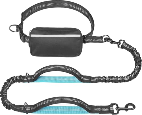 Image of Lyrovo Hands Free Dog Leash for Medium & Large Dogs, Reflective Bungee Running Leash with Adjustable Waist Belt & Zipper Pouch, Shock Absorbing Heavy Duty Pet Lead for Walking Jogging Hiking