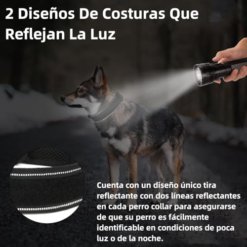 Mascotas, Imagen adicional