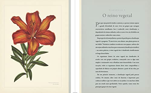 Botânica para Jardinistas