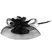 Fleur Clip Cheveux Bandeau Pilulier Sinamay Chapeau Bandeau Chien Large Molosse