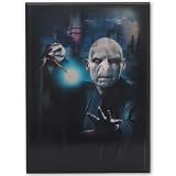 Harry Potter and Lord Voldemort 3D Wood Wall Decor