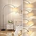 Ambimall 70 Dimmable Arc Floor Lamp with Remote, Color Temperatures and Brightness Adjustable, Arched Floor Lamp with Rotating Head, Over Couch Arched Light for Living Room (Deep Beige and Black)