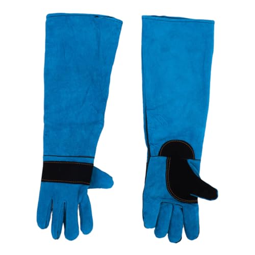 LIOOBO 1yALph tFCNU[ v ybgO[~