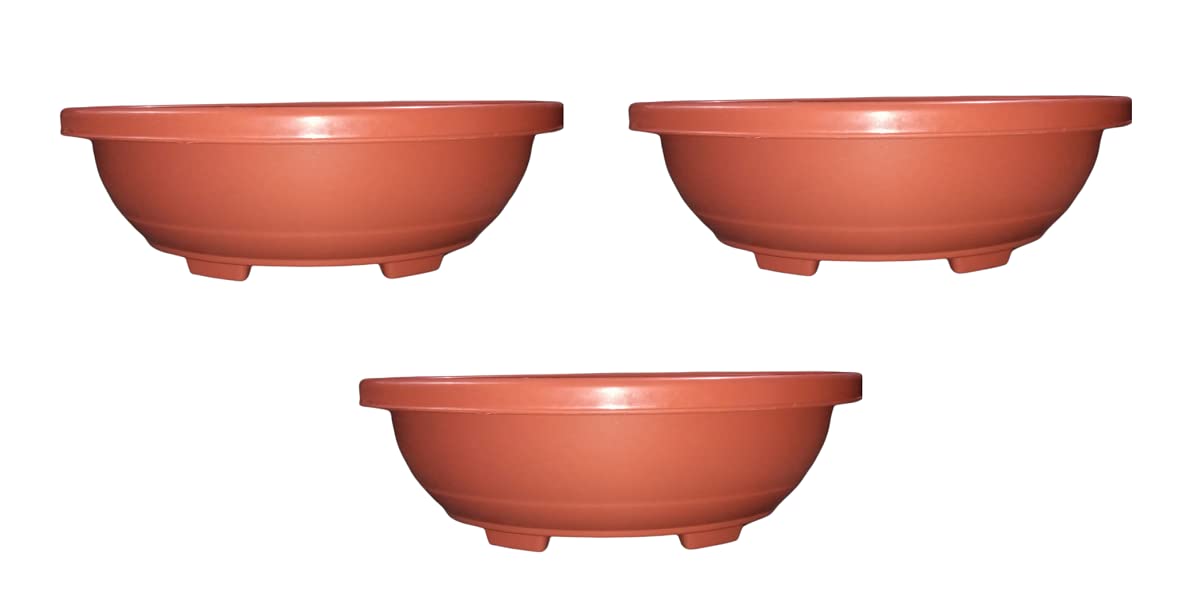 See full amazon price history chart for Bonsai Flower Oval Pots (Terracotta, 16 inch) - Pack of 3 Bonsai Flower Oval Pots (Terracotta, 16 inch) - Pack of 3 (B07ZFWZ9SF) Amazon Price History, Amazon Price Tracker