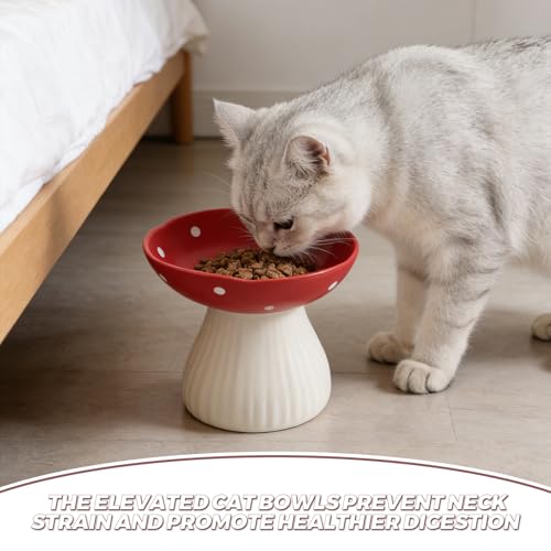 Gamelle surélevée pour chat en champignon : ensemble eau et nourriture mignon