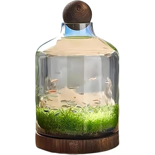 AngodaKX ؐx[X  ϋv i ɗD k͔|ɓK ƒp (D)