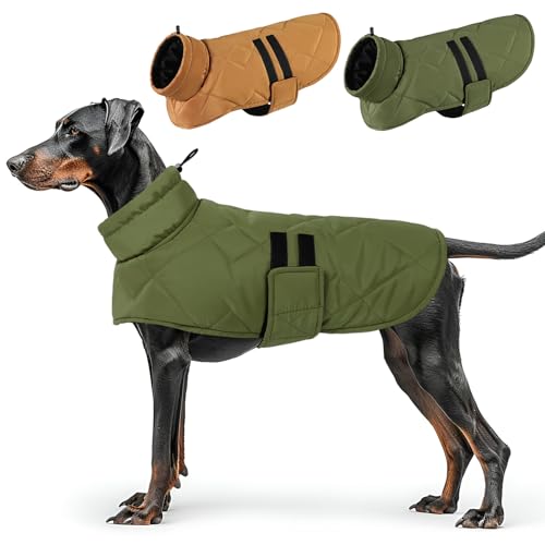 CITÉTOILE Hundemantel Winter,Hoher Kragen Hundejacke für Mittelgroßer Hunde, Hundejacke für Dackel,Bulldogge, Winddichte Hundemantel für Hund Indoor & Outdoor Camping Wandern