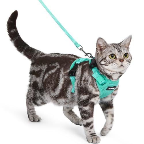rabbitgoo Arnés Gato con Correa, Hebilla del Cuello, Verde, S