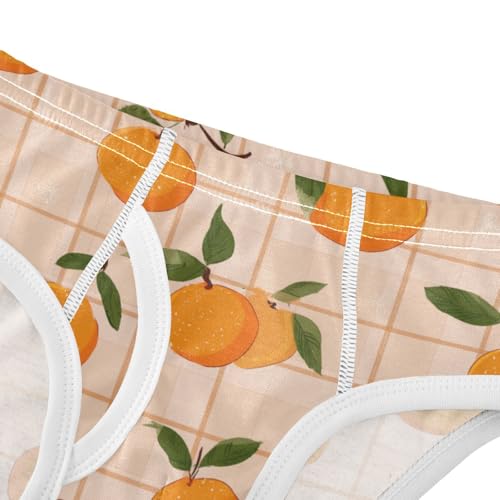 Wusikd Orange Fruit Checkered Boys' Underwear Cotton Boys Briefs Soft Toddler Underwear 2T4