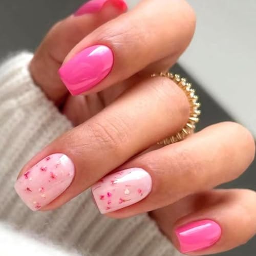 24 V[gvX I lC XNGA AN  dグ t[ fUC lC A[g fR[V p