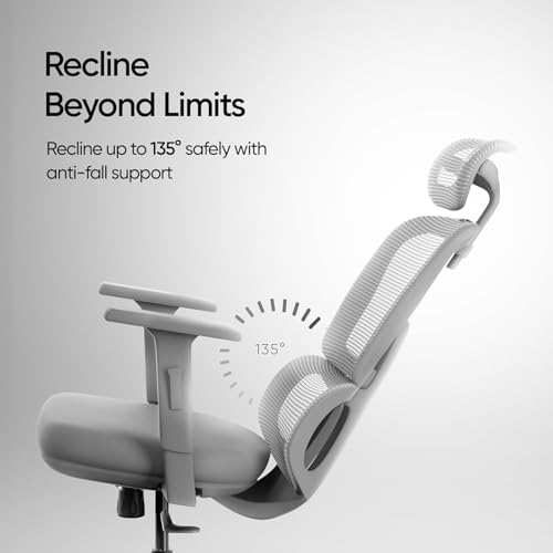 Image of AeroMesh Ergo Chair, Adjustable Armrests & Headrest, Lumbar Support, Breathable Mesh Back Fabric, Customizable Seat Depth & Height, Office Chair,120 kg Capacity- Grey