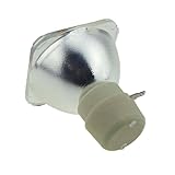NOGROEZ Lampe de projecteur for O PTOMA DS316 DX619 EX536 PRO150S ES526 EX526 EX531 ET766XE HD66 HD67 HD600X HD60(BL FU185A CB)