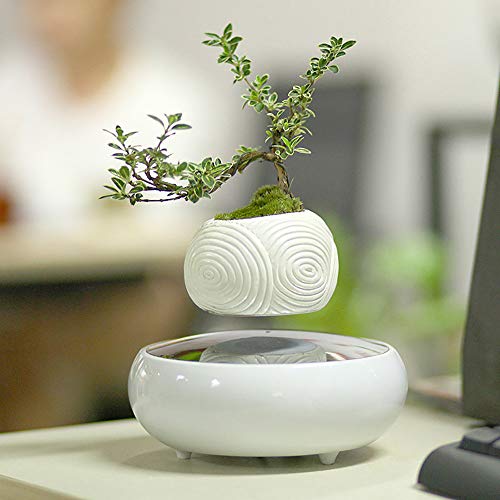 Maceta De Bonsai De Aire De LevitacióN MagnéTica, DecoracióN De Esc