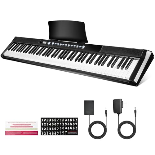Asmuse 1027503 Keyboard Piano 88 Key cover