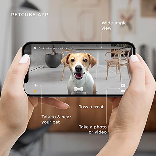 Petcube Bites 2 Lite Interactive WiFi Pet Monitoring Camera with Phone App and Treat Dispenser, 1080p HD Video, Night… - Image 5