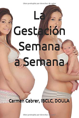 La Gestación Semana a Semana