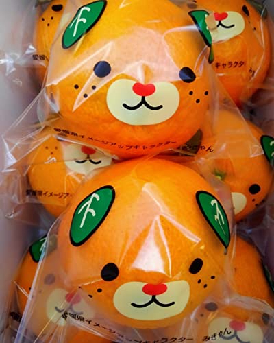 ESC QY悩Gi3LW×Qi݂ܕj