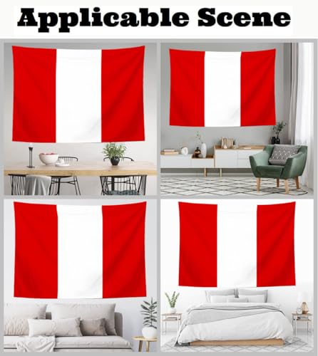 Tissu tapisserie murale drapeau péruvien pour masquer un mur abîmé - 5