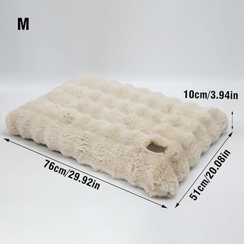BingoPaw Hundebett mittelgroße Hunde waschbar: Hundekissen flauschig Hundematte für kleine Hund, wasserdicht Hundematratze mit abnehmbar Plüsch Bezug und rutschfest Unterseite, Beige, 76x51x10 cm