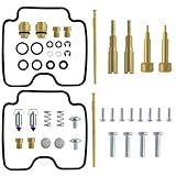 LoloWheat 2PCS Carburetor Carb Gaskets Jets Rebuild Kit Compatible with Suzuki GS500F GS500 2004 2005 2006 2007 2008 2009 Replacesment for #7261662-1 Carburetor Carb Gaskets Jets Rebuild Kit