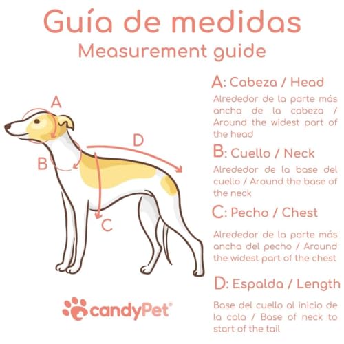 3-Punkt-Gurt, Anti-Ziehen, ideal für Lebreles: Italienischer Windhund, Whippet, Windhund, Podenco - sicher, atmungsaktiv und langlebig, perfekt zum Wandern, Training und Laufen, Anthrazit, M