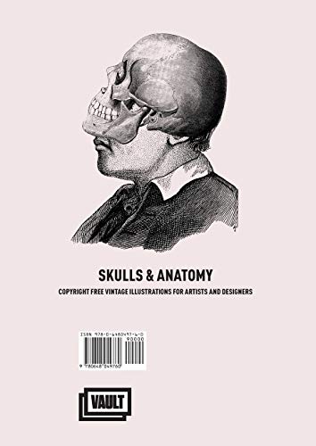 Skulls & Anatomy: Copyright Free Vintage Illustrations for Artists & Designers
