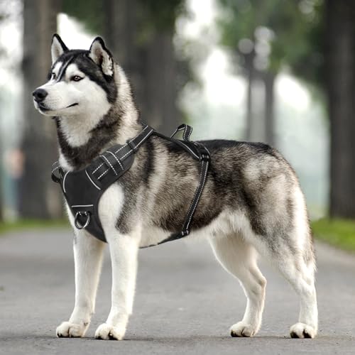 Winsee Dog Harness No Pull, Adjustable Pet Vest With Front/Back Leash Clips thumb #8