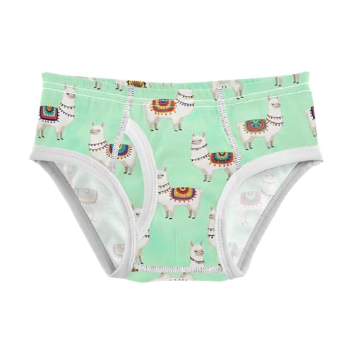 CHIFIGNO Underwear for Boys Cute Llama Green Cotton Boy Briefs Printed Soft Underwear Briefs
