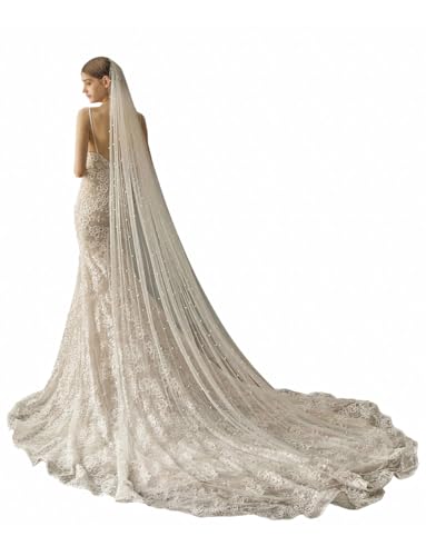 AiberLisha Velo de novia de boda con peine de metal para novia, Blanco, Cathedral length:118inch(300cm)