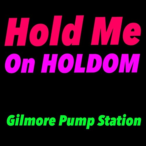 Hold Me on Holdom