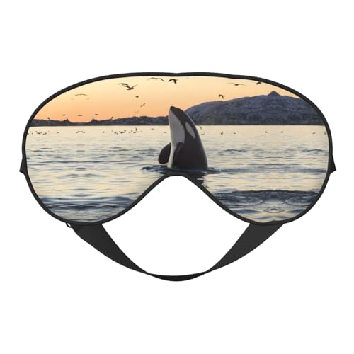 V`vgX[v}XNAiCgډBAAjp̃\tgACVF[hJo[AŝQґzp