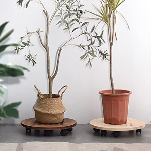 Chariot à roulettes verrouillables pour plante, support stable - 5
