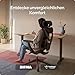 Desktronic Verstellbarer ergonomischer Bürostuhl | Schreibtischstuhl mit Lendenwirbelstütze - rückenfreundlich- Computerstuhl höhenverstellbar...