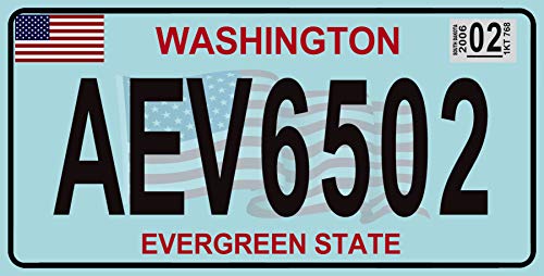 - Set mit 10 Metall USA Auto LIZENZPLATTEN - Repliken von echten amerikanischen Platten (Fabbri LF3)