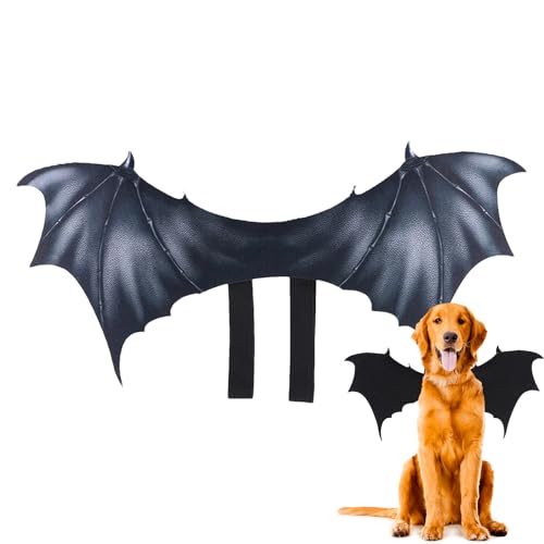 Hundekostüm - Hund Kostüm,Outfit Kreatives Cosplay Zubehör Für Welpenclub Outdoor Haustier Verkleidung