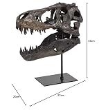 JOTNBOBO Dinosaurier-Schädel-Statue, Dinosaurier-Skulpturen Halterung Tyrannosaurus Schädel Replik Dekoration Schädel Knochen Harz Replik mit Halterung für Home Office Decor Regal Display